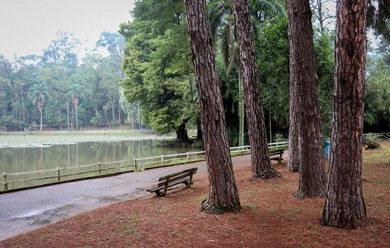 Horto Florestal, opção gratuita de passei familiar com crianças durante as férias escolares 
