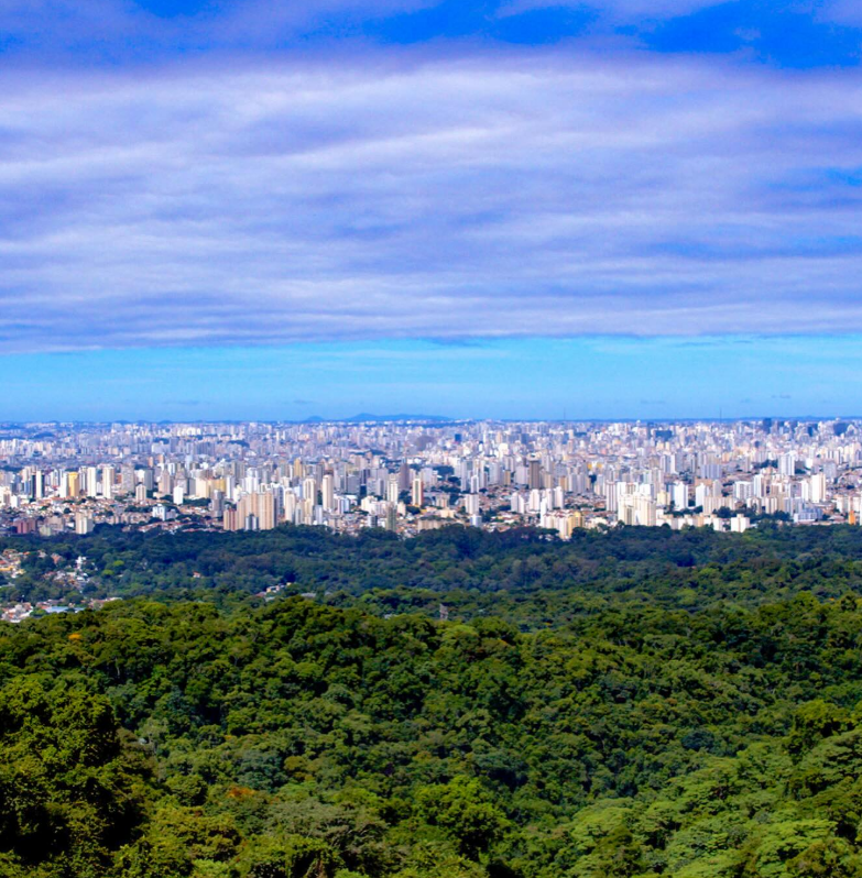 Parque Estadual da Cantareira, uma ótima opção para passear na natureza com crianças durante as férias na zona norte