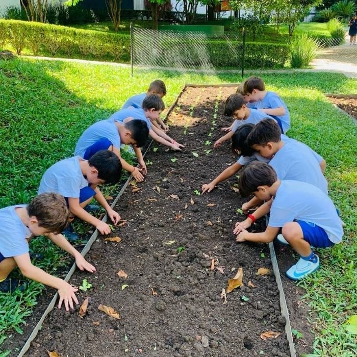 Colégio Miudinho Segmento, eleito terceira melhor escola da zona norte de são paulo pelo guiazn awards 2024