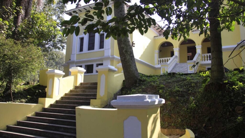 Você sabia que existe um museu florestal na Zona Norte de São Paulo?