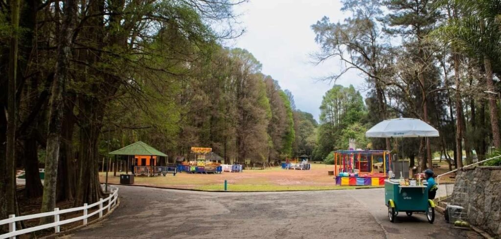 Horto Florestal na Serra da Cantareira, Zona Norte de São Paulo