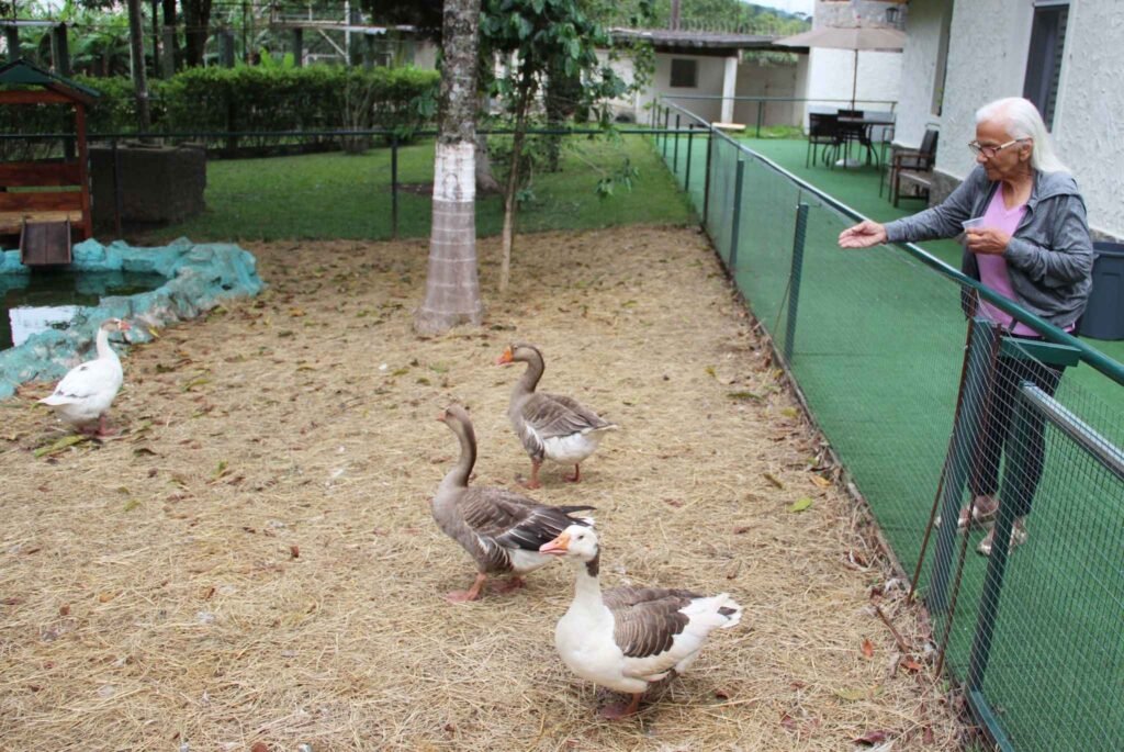 residencial para idosos com área verde em são paulo
