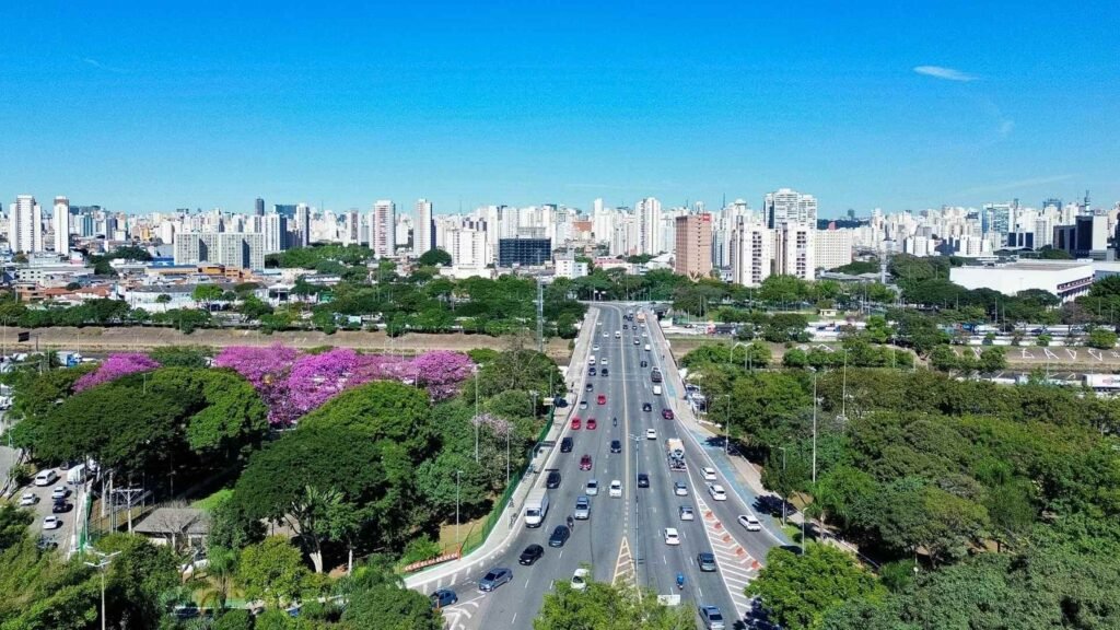Resumo do junho verde na zona norte de são paulo