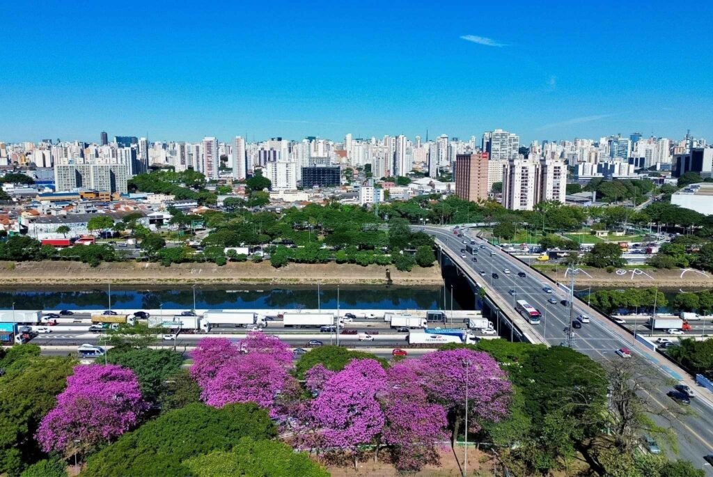 Zona Norte ganha 4 novos bosques com a operação Junho Verde